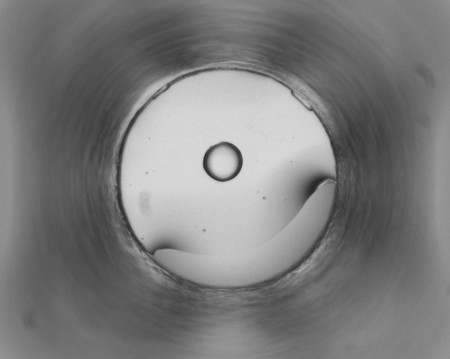 X0000111350956200908071130
