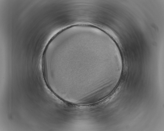 X0000111350958200908071130