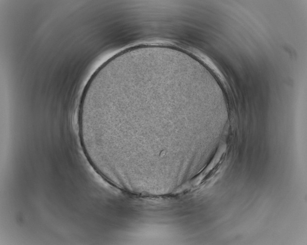 X0000111350959200908071130