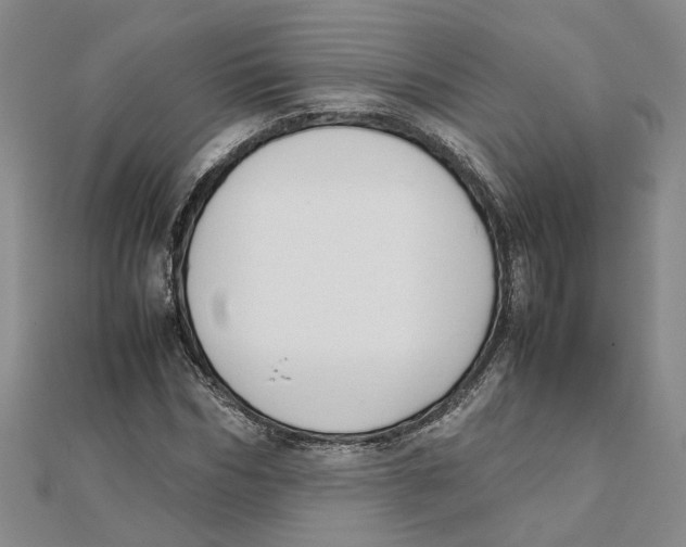 X0000111350970200908071129