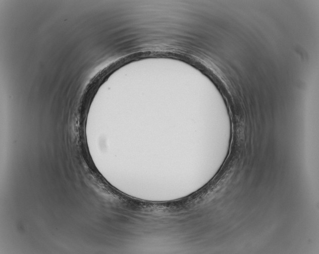 X0000111350971200908071129