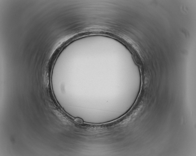 X0000111350973200908071129