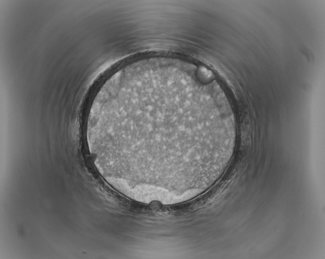 X0000111350975200908071129