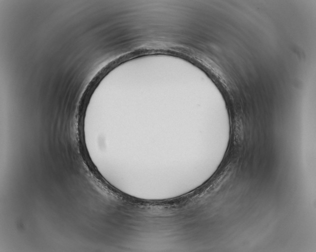 X0000111350976200908071129