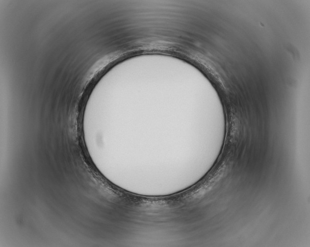 X0000111350978200908071129
