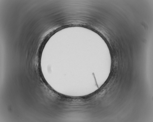 X0000111350979200908071129