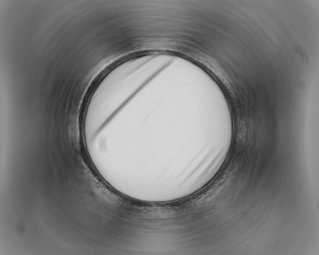 X0000111350980200908071129