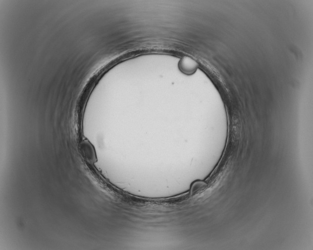 X0000111350981200908071129