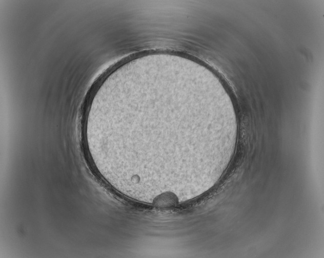 X0000111350983200908071129