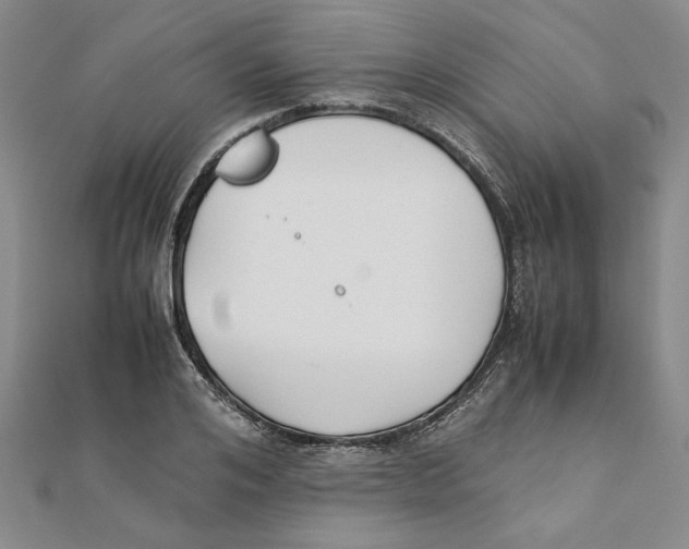 X0000111350984200908071129