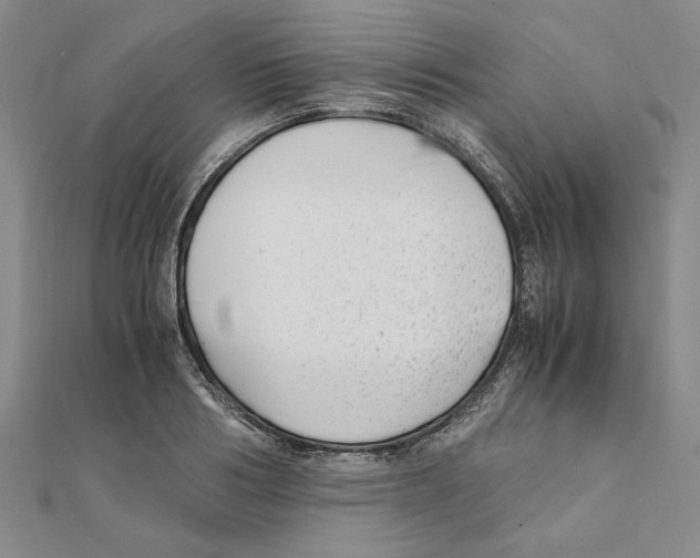 X0000111350986200908071129
