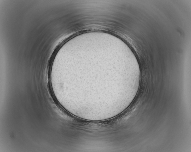 X0000111350987200908071129