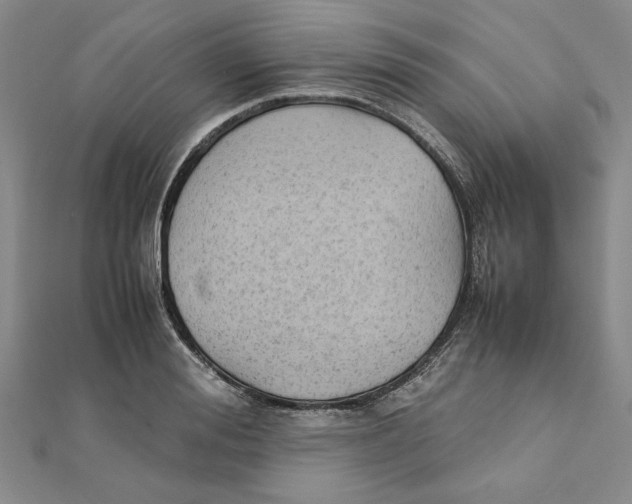 X0000111350988200908071129