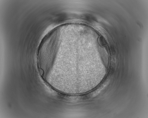 X0000111350989200908071129