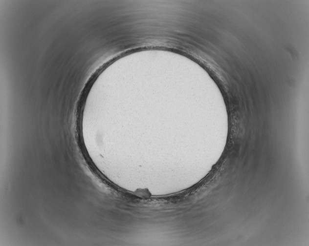 X0000111350991200908071129