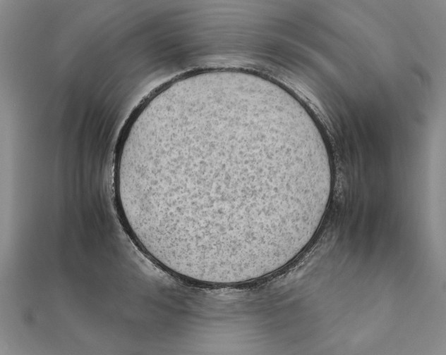 X0000111350992200908071129