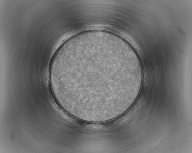 X0000111350994200908071129