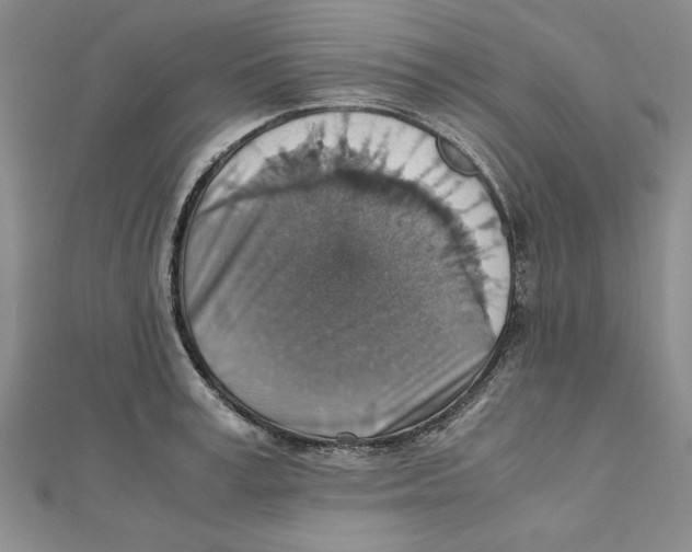 X0000111350995200908071129
