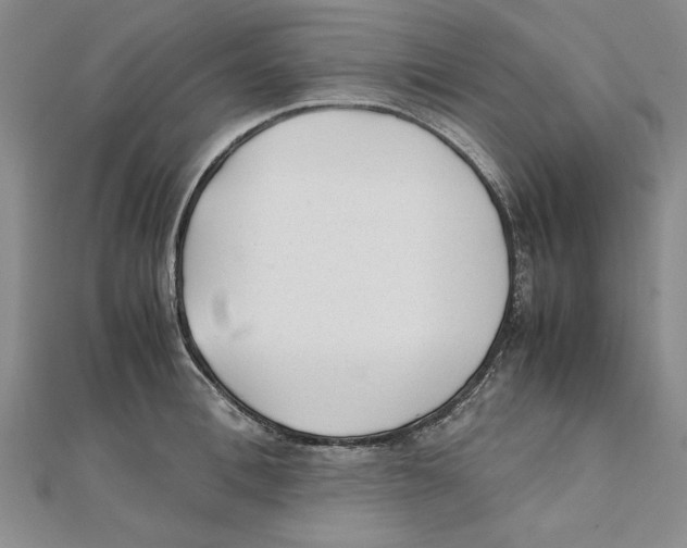 X0000111350996200908071129
