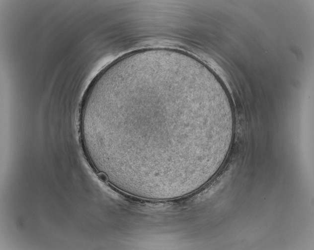 X0000111350997200908071129