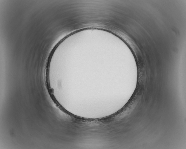 X0000111350999200908071129