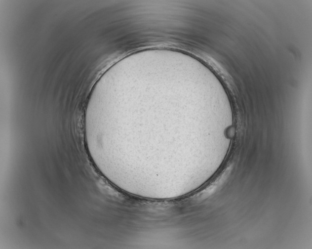X0000111351001200908071129