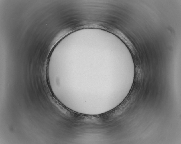 X0000111351002200908071129