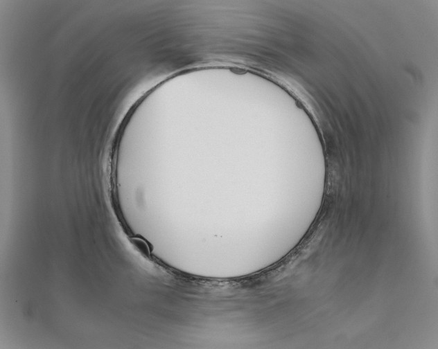 X0000111351003200908071129