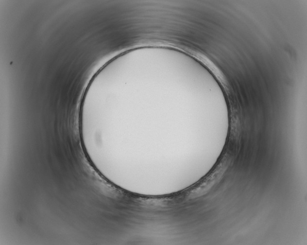 X0000111351004200908071129