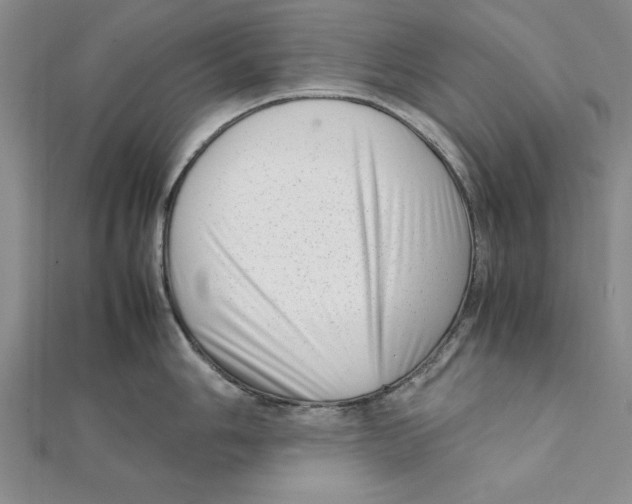 X0000111351006200908071129
