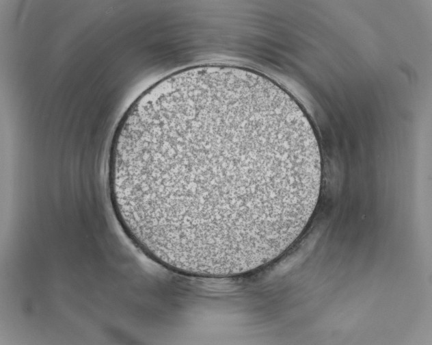 X0000111351007200908071129