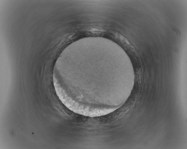 X0000111351009200908071128