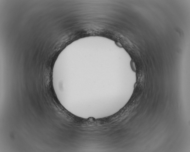 X0000111351012200908071128