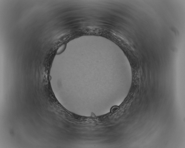 X0000111351013200908071128