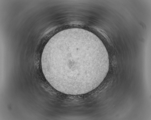 X0000111351015200908071128