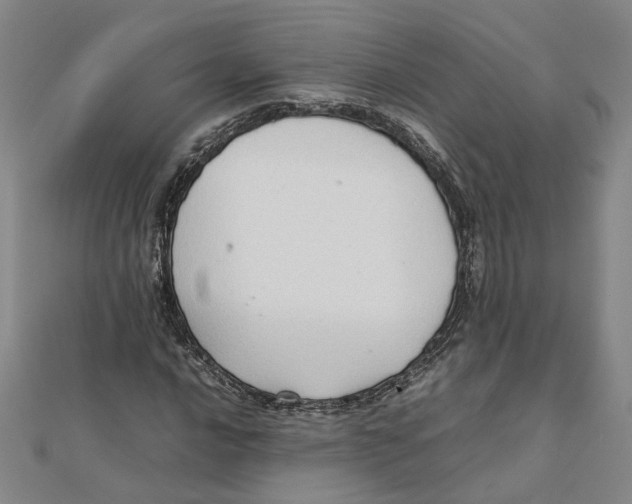 X0000111351016200908071128
