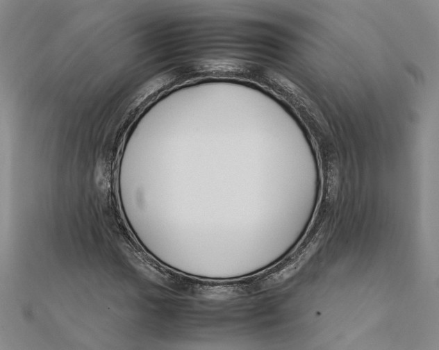 X0000111351017200908071128