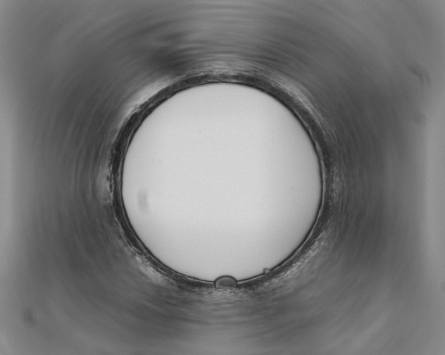 X0000111351018200908071128