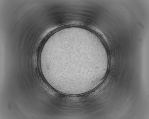 X0000111351019200908071128