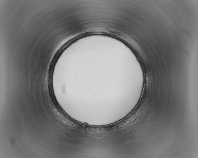 X0000111351020200908071128