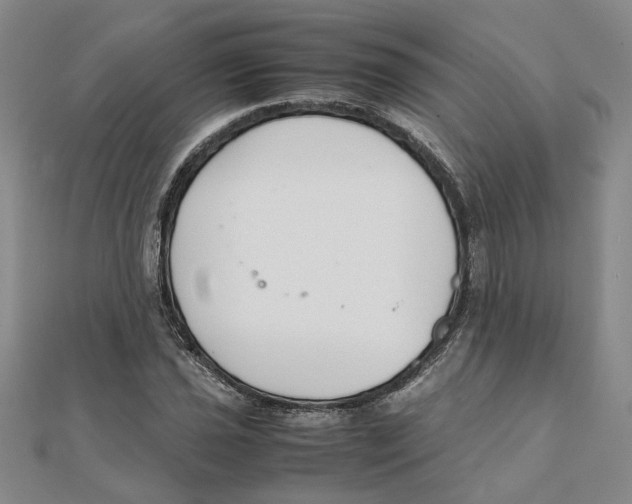 X0000111351021200908071128