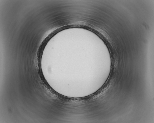 X0000111351022200908071128