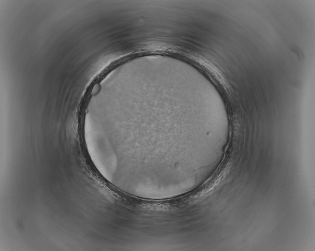 X0000111351023200908071128