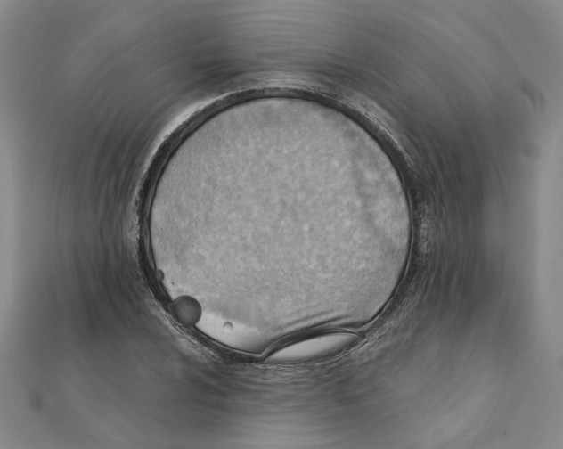 X0000111351024200908071128