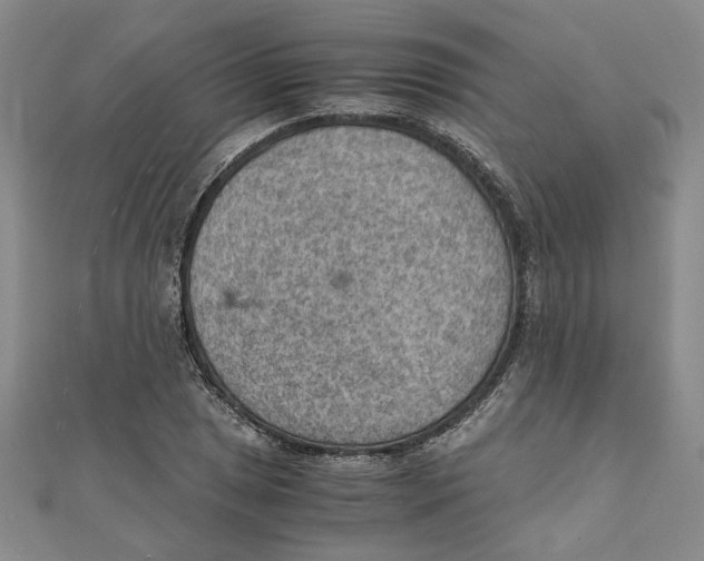 X0000111351025200908071128