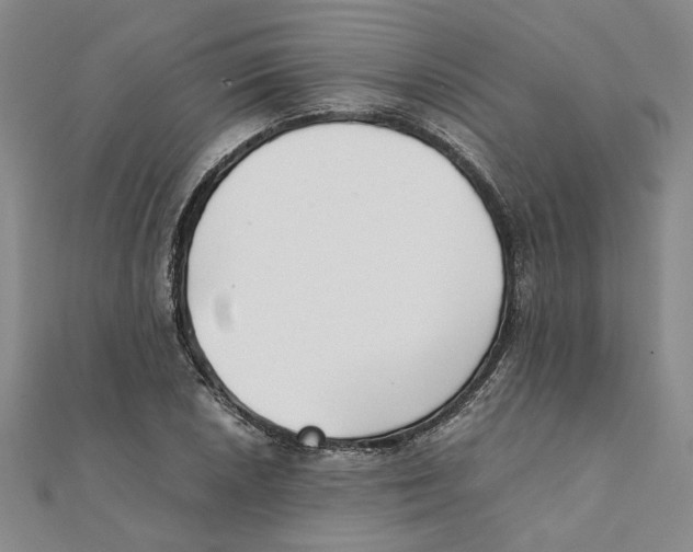 X0000111351026200908071128