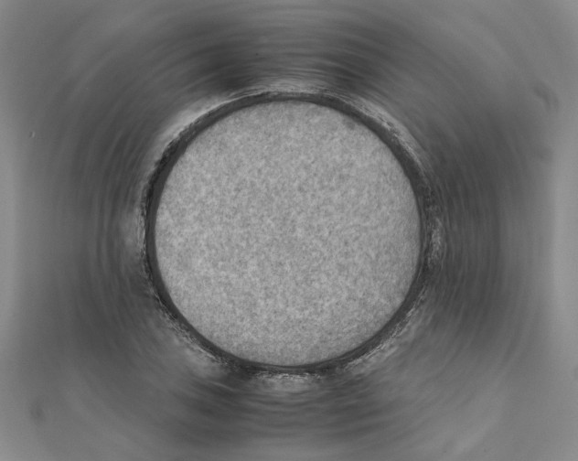 X0000111351027200908071128
