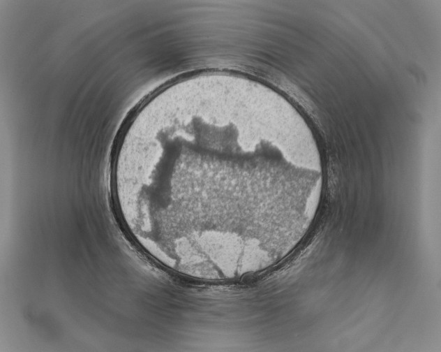 X0000111351028200908071128