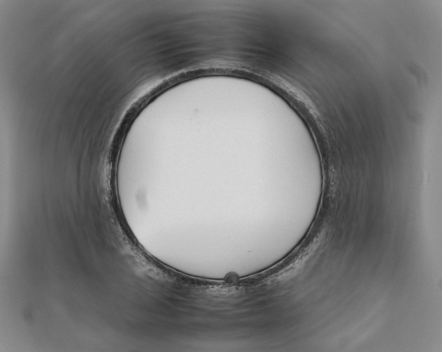 X0000111351029200908071128