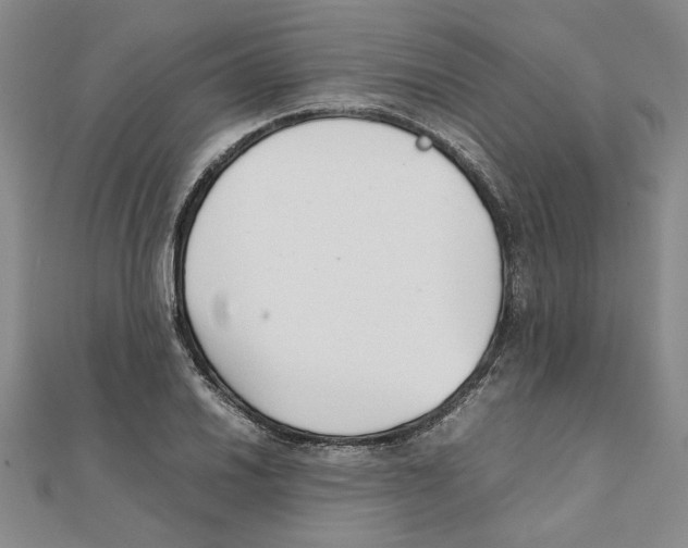 X0000111351030200908071128